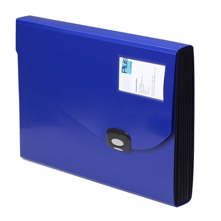 Rapesco 0677 Trieur Extensible à 13 Compartiments