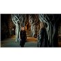 Le Hobbit - La Trilogie : Un Voyage Inattendu + La Désolation de Smaug + La Bataille des 5 armées [DVD]