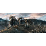 Le Hobbit - La Trilogie : Un Voyage Inattendu + La Désolation de Smaug + La Bataille des 5 armées [DVD]