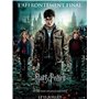 Harry Potter et les Reliques de la Mort - 2ème partie - Année 7 - Le monde des Sorciers de J.K. Rowling - DVD