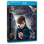 Les Animaux fantastiques - Le monde des Sorciers de J.K. Rowling - Blu-ray
