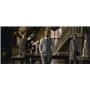 Les Animaux fantastiques : Les Crimes de Grindelwald