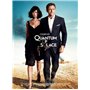 James Bond 007-La Collection Daniel Craig : Casino Royale + Quantum of Solace + Skyfall + Spectre [Blu-Ray]