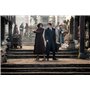 Les Animaux fantastiques : Les Secrets de Dumbledore [4K Ultra HD + Blu-Ray-Boîtier SteelBook limité]