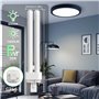 2 broches lumière blanche 6500K lampe CFL