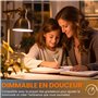 TobeBright Ampoule Halogène Tubulaire 100W E27 Blanc Chaud 2800K Dimmable 1291LM Ampoule Transparent Tube Halogene pour Studio, 