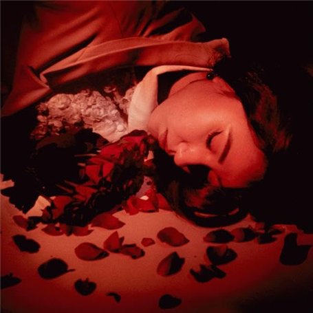 How Did We Fall So Far