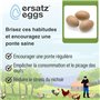 Oeufs Ersatz – Faux œufs de Poule et de volaille réalistes – Imitation d'œufs factices lestés pour nichoirs – Encourage la Ponte