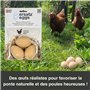 Oeufs Ersatz – Faux œufs de Poule et de volaille réalistes – Imitation d'œufs factices lestés pour nichoirs – Encourage la Ponte