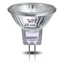 Long Life Lamp Company Ampoule halogène MR11 12 V 10 W Lot de 10
