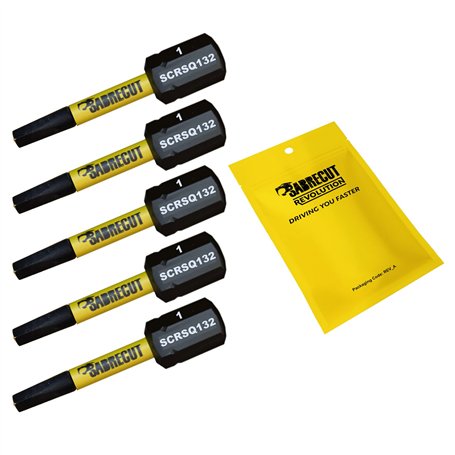 5 x SabreCut SCRSQ132_5 Jeu d'embouts de tournevis à impact magnétique carré 32 mm SQ1 à une extrémité robuste compatible avec D