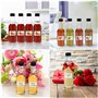 BELLE VOUS Mini Bouteille Verre Sauce Piquante (Lot de 12) - 150 ml - Petites Bouteilles en Verre avec Embout Goutte à Goutte et