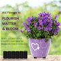 Belle Vous Lot de 40 Pied Pot de Fleur Invisible - Pied Caoutchouc Noir pour Plantes - Tampon Antidérapant Auto-Adhésif pour Pot