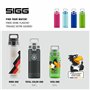 SIGG - Gourde Transparente en Tritan - Total Color DFB Anthracite - Convient Aux Boissons Gazeuses - Lavage Au Lave-Vaisselle -