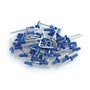 Lampa Lot de 50 rivets aveugles en aluminium pour support de plaque d'immatriculation - Bleu