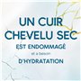 Head & Shoulders Dermaxpro Apaise, Crème de Soin à Rincer, Pour Cuir Chevelu Sec Qui Démange, Lot de 6x145 ml