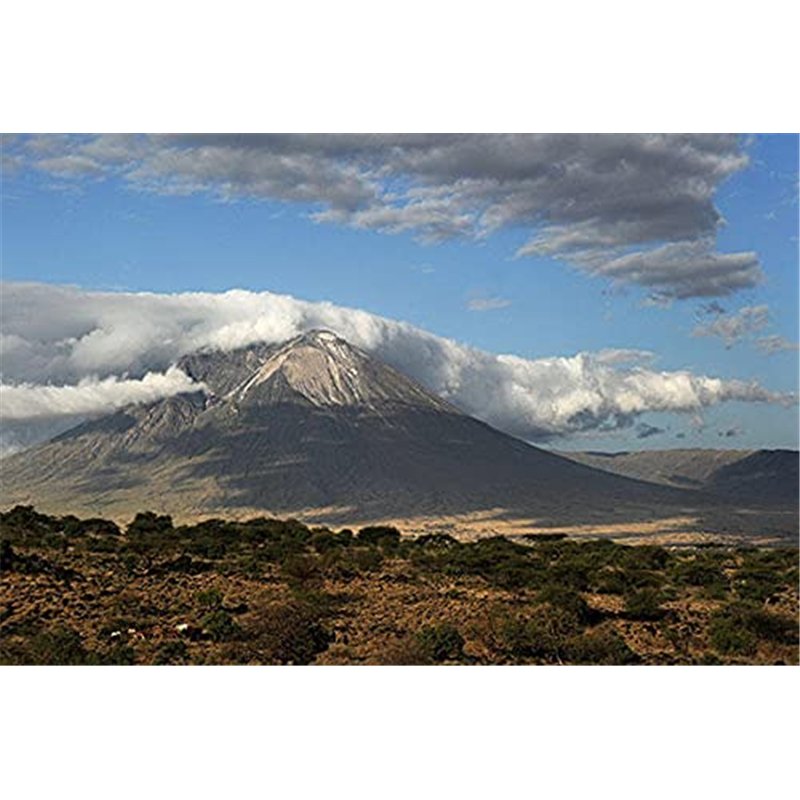 Reflex - Grasso Foca - Graisse