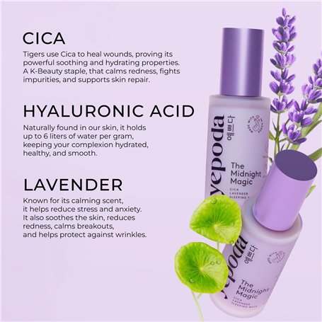 Love Moschino Regular Fit Robe à Manches Courtes