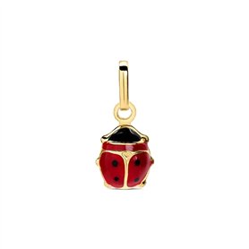 Pendentif Femme Stroili 1410273 Doré Rouge