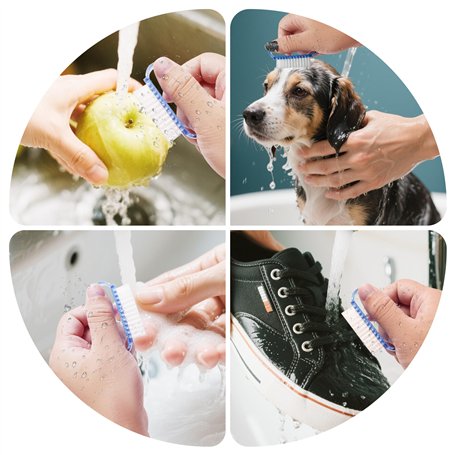 L'École Barriguitas-, Dont 2 Bureaux, Tableau Noir, Nuisettes et Accessoires (Célèbres) 700016656