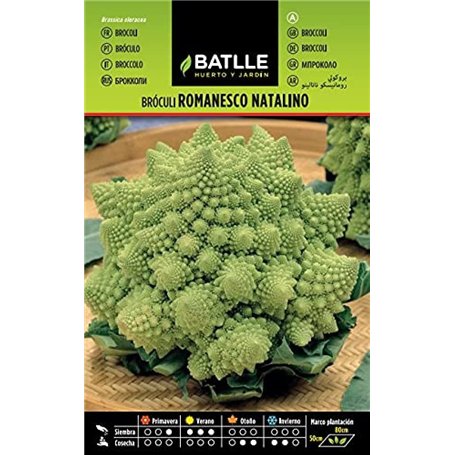 Semillas hortícolas de Batlle - Bróculi Romanesco Natalino (4g)