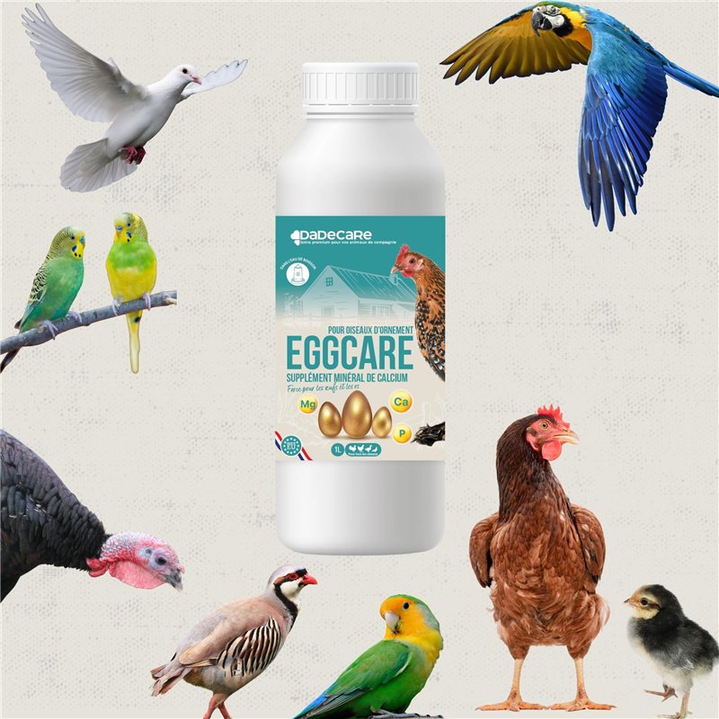 Haut de Sport pour Femme Hanker Cane  Gris Running