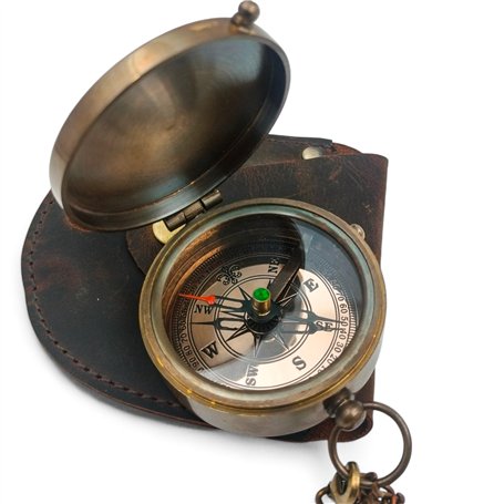 DADECARE Eggcare Calcium pour Oiseaux 1 l avec minéraux et vitamines – Œufs sains et coquilles résistantes – Fortifie Les os – C