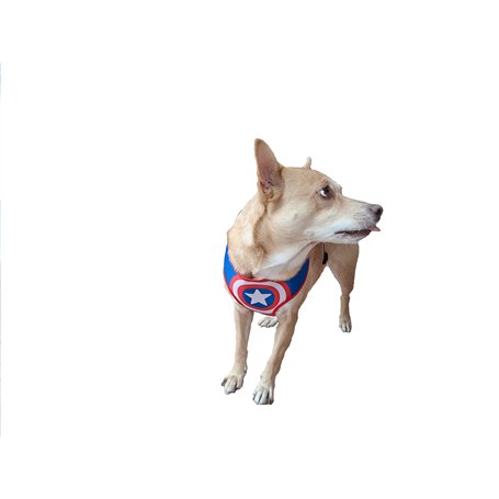 Harnais pour chien Avengers Captain America Taille M - l