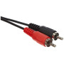 5mm vers 2X RCA RCA