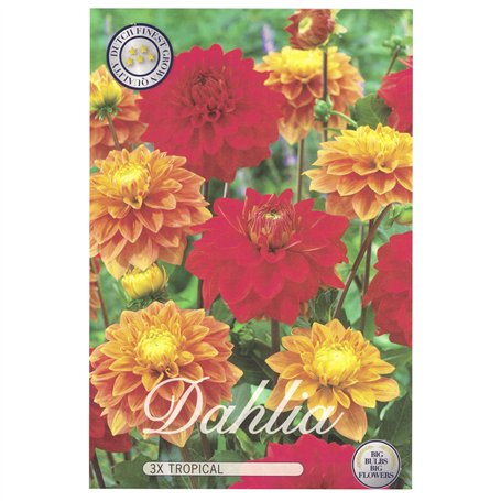 Oral-B Dentifrice Pro-Expert Protection Professionnelle Cristaux Nettoyants Arôme Vert D’Hiver