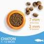 IAMS Advanced Nutrition - Croquettes Premium Chatons - Savoureuses complètes Equilibrées - Favorise Croissance - Au poisson de l