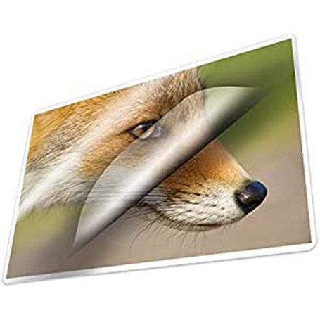 Kangaro Film de plastification 65 x 95 mm 65 x 95 mm 125 microns 100 feuilles