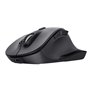 Souris Trust 25708