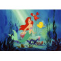 Arielle-Die Meerjungfrau (Disney Classics) [Import]