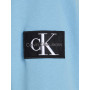Calvin Klein Jeans Homme Sweat à Capuche Badge avec Capuche, Bleu (Dusk Blue), XXS