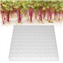 Éponge Hydroponique - 100 Pièces pour Plantation dans Un Outil de Jardinage à Effet de Serre - Semis pour la Culture de Petits B