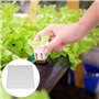 Éponge Hydroponique - 100 Pièces pour Plantation dans Un Outil de Jardinage à Effet de Serre - Semis pour la Culture de Petits B