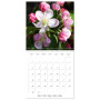 Arbres et arbustes la floraison (Calendrier mural carré 2026, 30 x 60 cm (ouvert)) Calendrier double avec une page pour vos pris