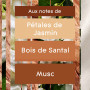 Glade Sense & Spray Recharges Diffuseur à Détection de Mouvement - Infusé Aux Huiles Essentielles - Jusqu'à 2 Mois de Parfum - S
