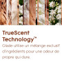 Glade Sense & Spray Recharges Diffuseur à Détection de Mouvement - Infusé Aux Huiles Essentielles - Jusqu'à 2 Mois de Parfum - S