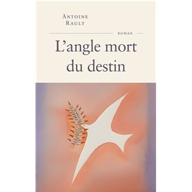 L'angle mort du destin L'angle mort du destin