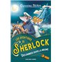 Les Aventures de Sherlock T5 Des ombres dans la brume 8,71 €