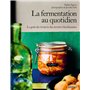 La fermentation au quotidien - Le goût du vivant & des recettes bienfaisantes