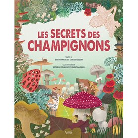 Le Secret des champignons Le Secret des champignons