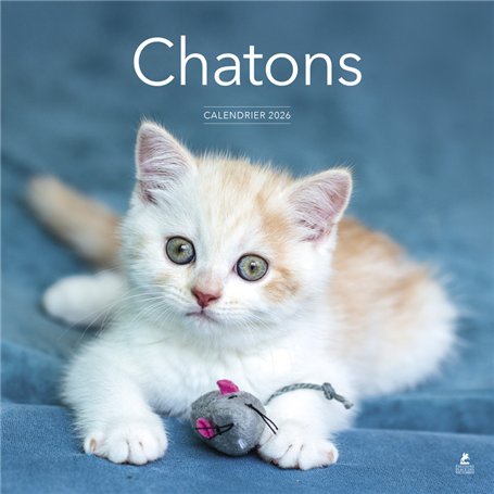 Calendrier 2026 - Chatons