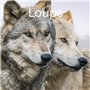 Calendrier 2026 - Loups