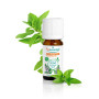 Puressentiel - Huile Essentielle Menthe Poivrée - Bio - 100% pure et naturelle - HEBBD - 10 ml