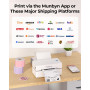 MUNBYN Imprimante d'étiquettes d'expédition Bluetooth, imprimante Thermique sans Fil 4x6 pour Colis et Petites Entreprises à Dom
