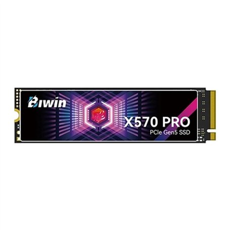 Disque dur Biwin X570 Pro 2 TB SSD