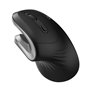 Souris sans-fil Ewent ergon 3200 DPI